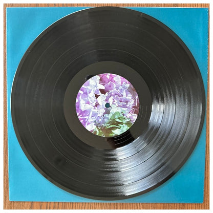 LANA DEL REY - ULTRAVIOLENCE (2LP) | VINILO