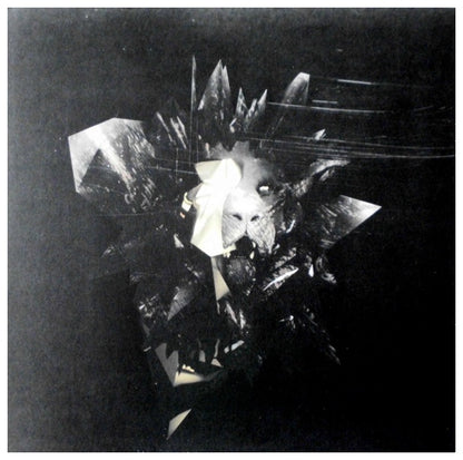 LINKIN PARK - LIVING THINGS | VINILO
