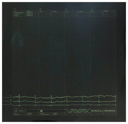 RAMMSTEIN - MUTTER (2LP) | VINILO