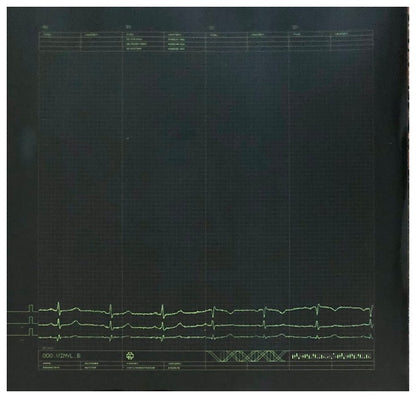 RAMMSTEIN - MUTTER (2LP) | VINILO
