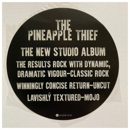 PINEAPPLE THIEF - IT LEADS TO THIS | VINILO