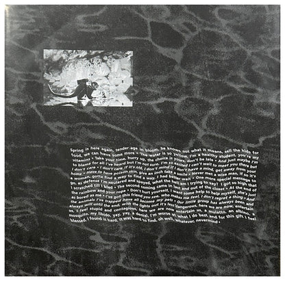 NIRVANA - NEVERMIND (EXCLUSIVE LTD EDITION) (METALLIC SILVER VINYL) | VINILO