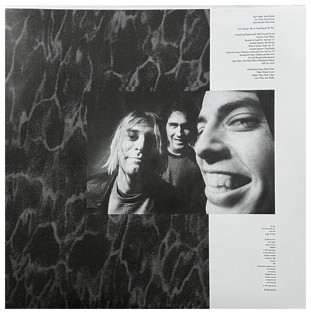 NIRVANA - NEVERMIND (EXCLUSIVE LTD EDITION) (METALLIC SILVER VINYL) | VINILO