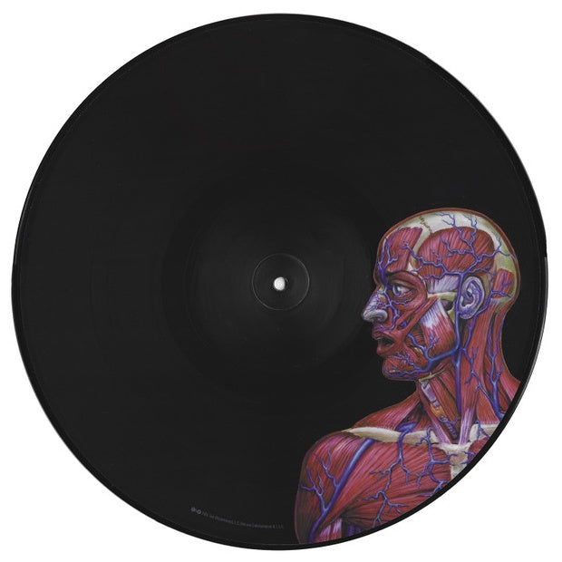 TOOL - LATERALUS (2LP) (PICTURE DISC) (4 IMAGES/HOLOGRAPHIC GATEFOLD) | VINILO