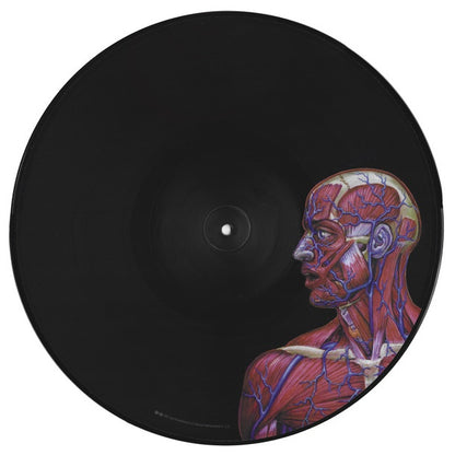 TOOL - LATERALUS (2LP) (PICTURE DISC) (4 IMAGES/HOLOGRAPHIC GATEFOLD) | VINILO