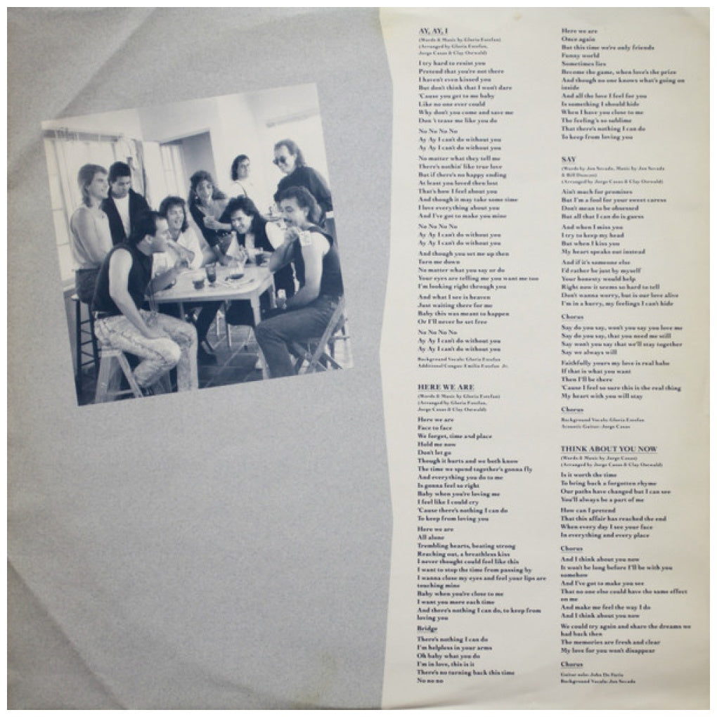 GLORIA ESTEFAN - CUTS BOTH WAYS | VINILO USADO