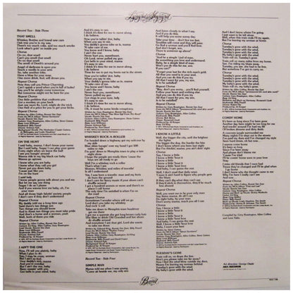 LYNYRD SKYNYRD BANG - GOLD & PLATINUM (2LP) | VINILO USADO