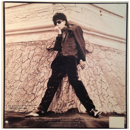 RIC OCASEK - THIS SIDE OF PARADISE (VDE-NUEVO/SELLADO) | VINILO USADO