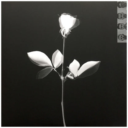 DEPECHE MODE - VIOLATOR | VINILO