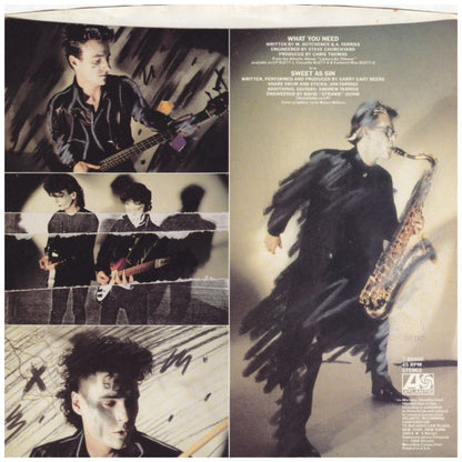 INXS - WHAT YOU NEED | 7" SINGLE USADO