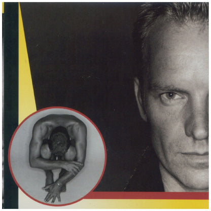 STING - FIELDS OF GOLD: THE BEST | CD USADO