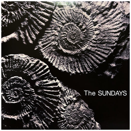 THE SUNDAYS - READING, WRITING & ARITHMETIC (GREY VINYL) | VINILO