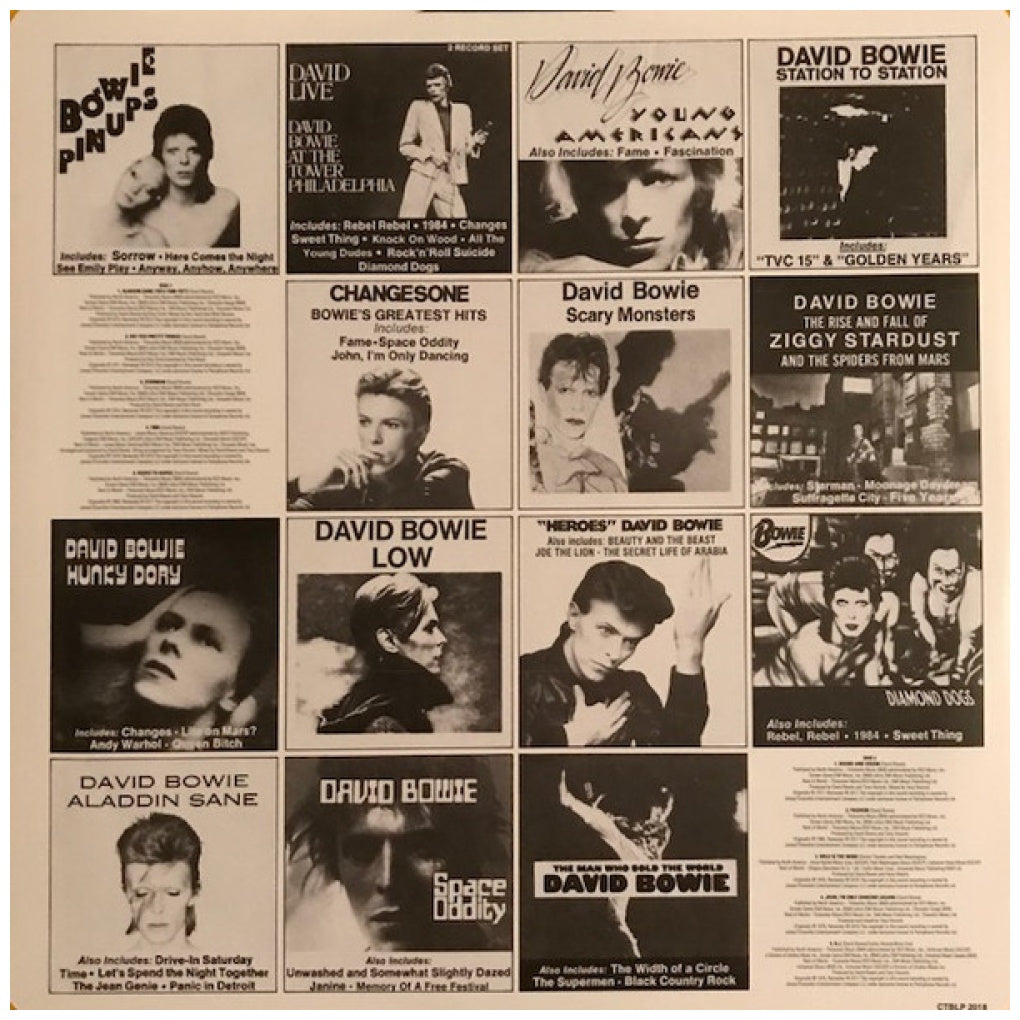 DAVID BOWIE - CHANGESTWOBOWIE | VINILO