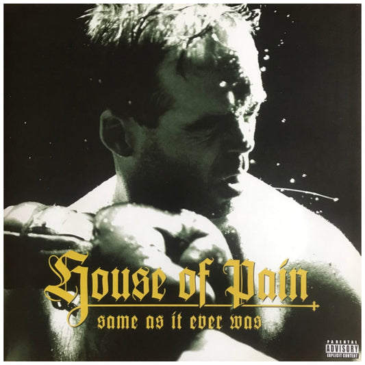 HOUSE OF PAIN - SAME AS IT EVER WAS (30TH ANNIVERSARY) (BONUS 7" SINGLE) (YELLOW/GREEN VINYL) | VINILO