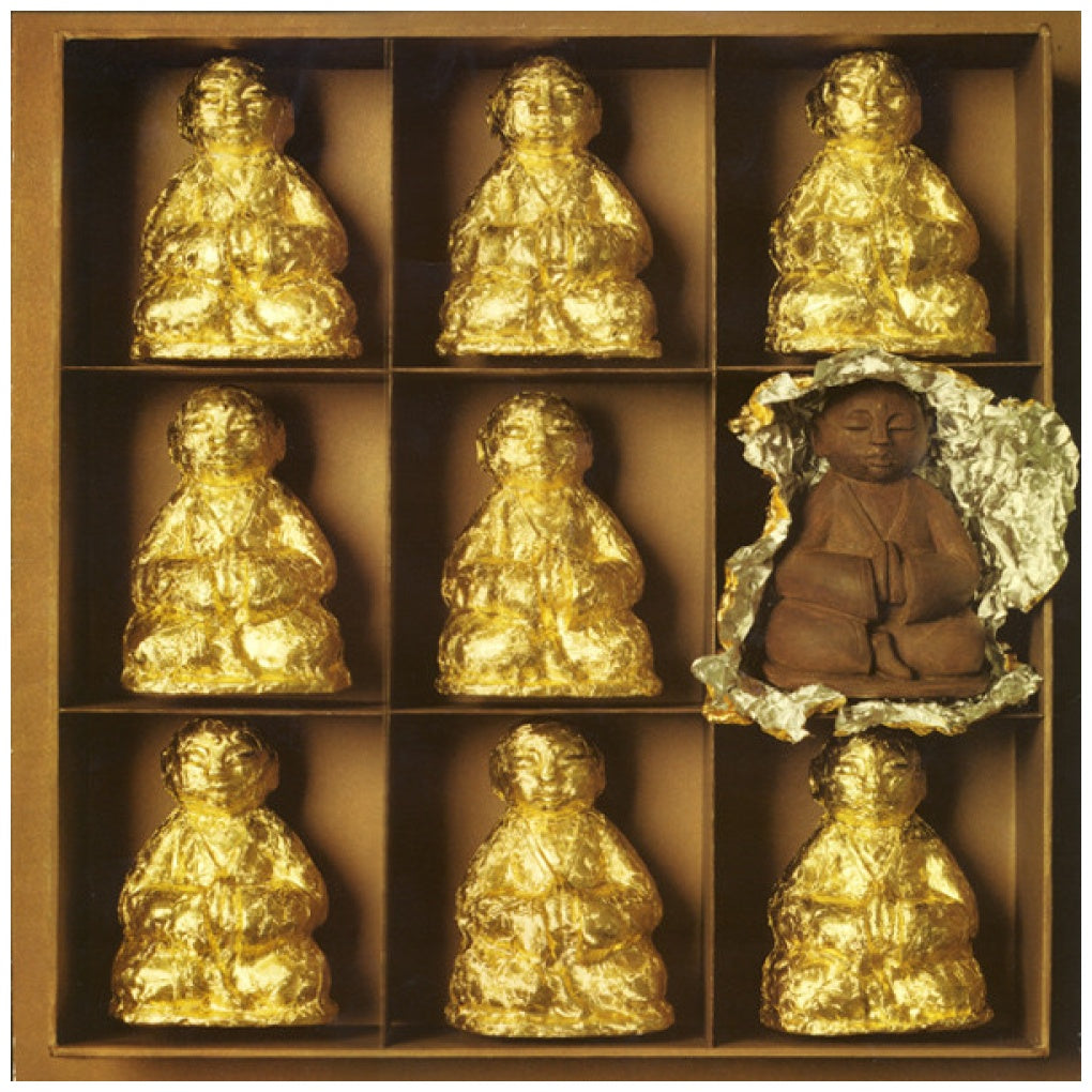 CAT STEVENS - BUDDHA AND THE CHOCOLATE BOX | VINILO USADO