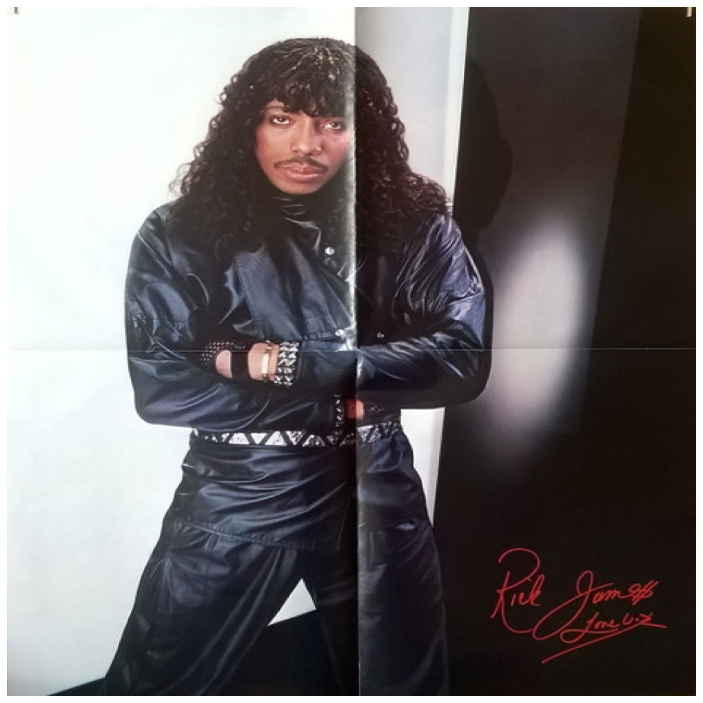 RICK JAMES - REFLECTIONS: GREATEST HITS (INC. POSTER) | VINILO USADO