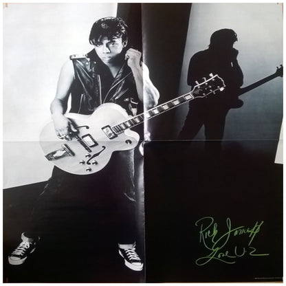 RICK JAMES - REFLECTIONS: GREATEST HITS (INC. POSTER) | VINILO USADO