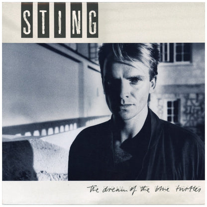 STING - THE DREAM OF THE BLUE TURTLES | VINILO USADO