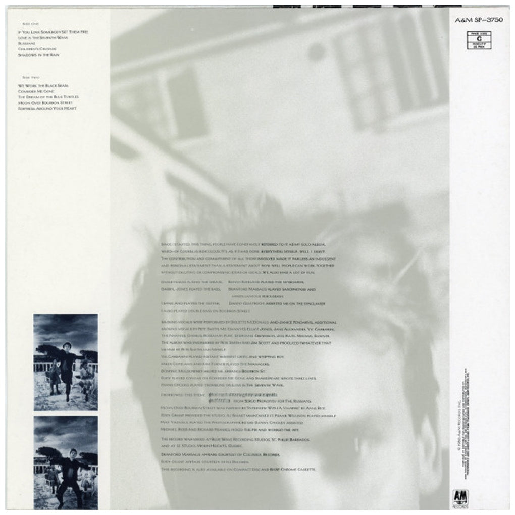 STING - THE DREAM OF THE BLUE TURTLES | VINILO USADO