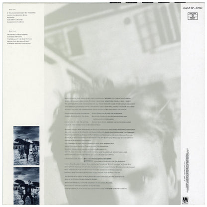 STING - THE DREAM OF THE BLUE TURTLES | VINILO USADO