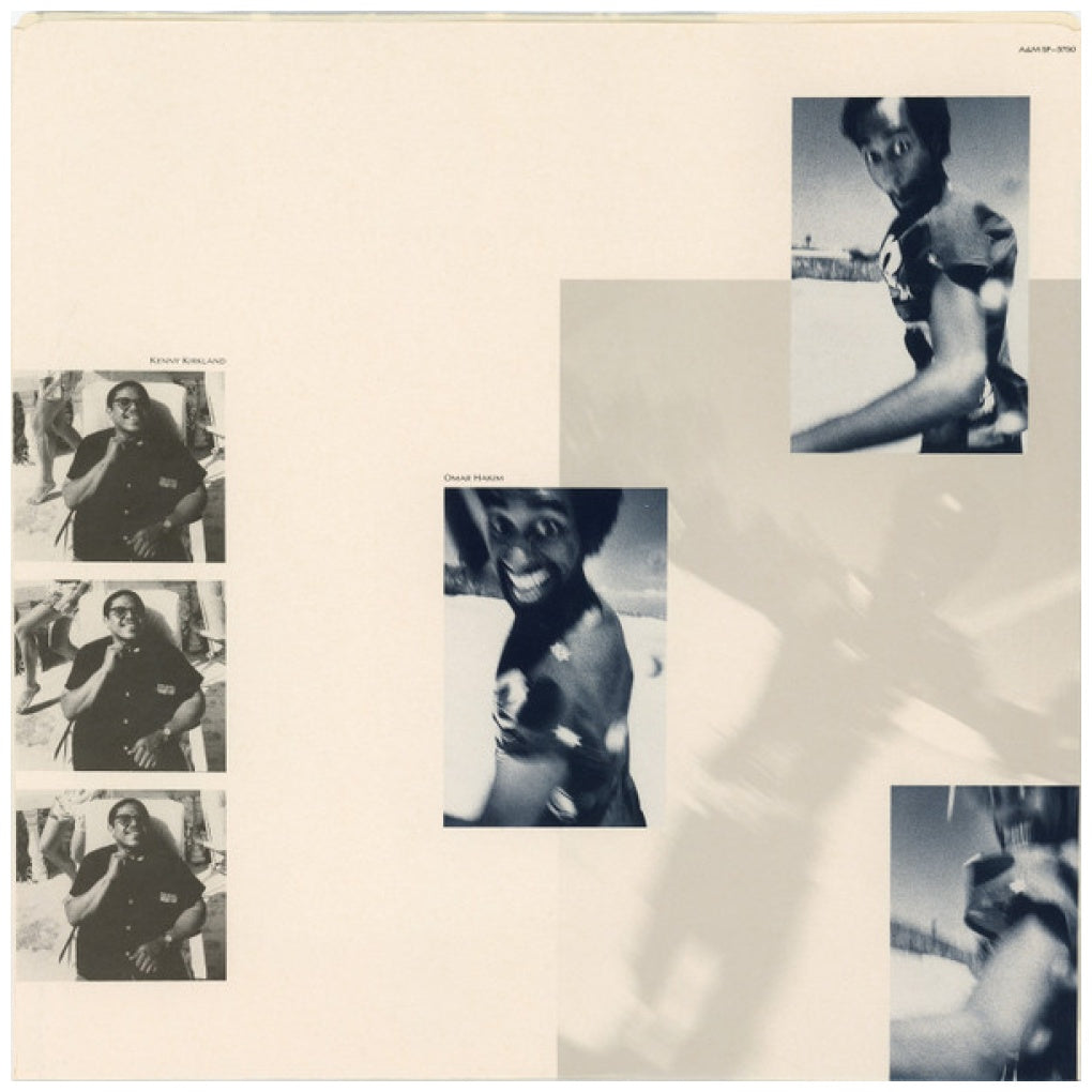 STING - THE DREAM OF THE BLUE TURTLES | VINILO USADO