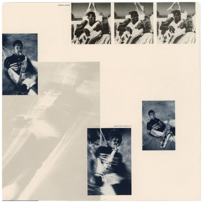 STING - THE DREAM OF THE BLUE TURTLES | VINILO USADO