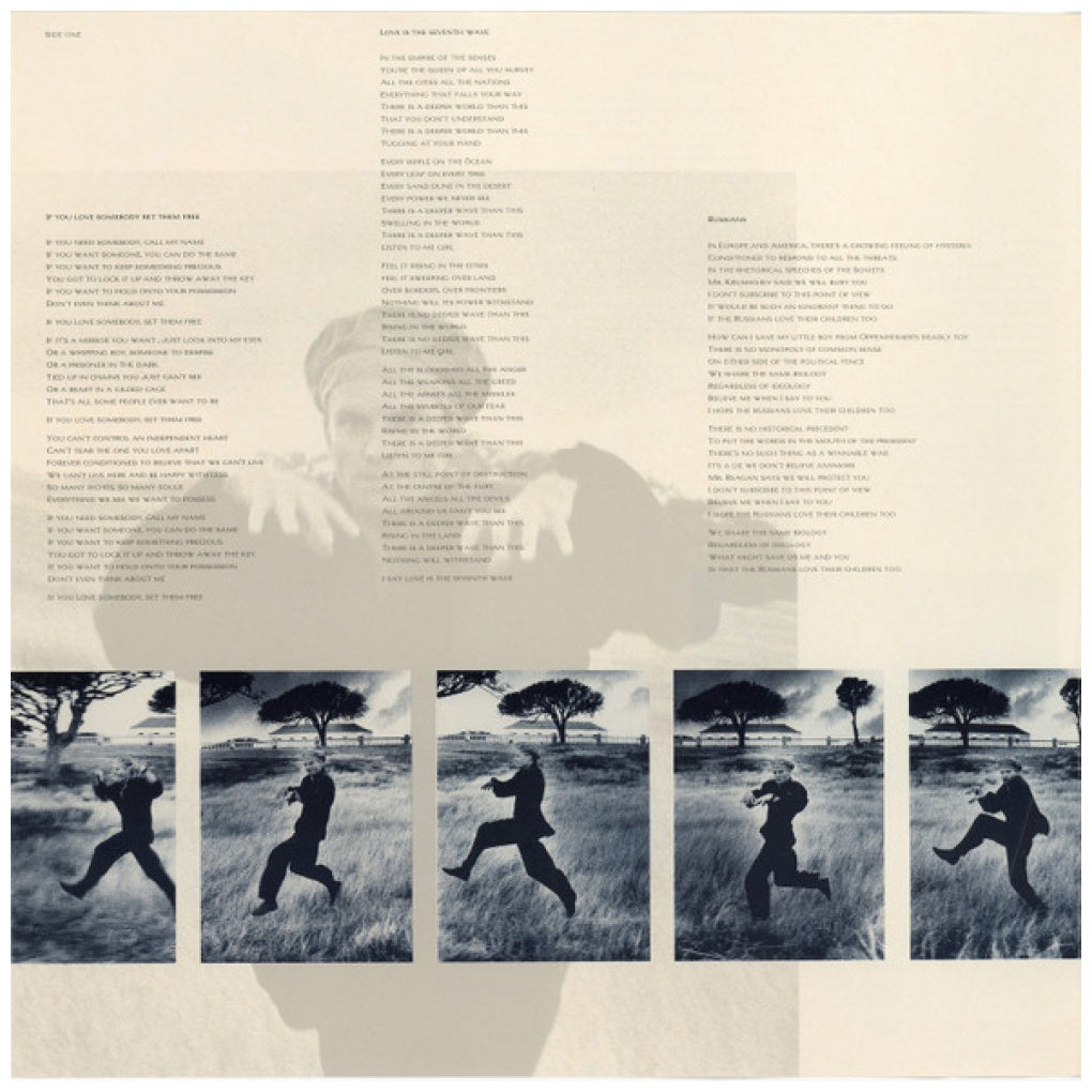 STING - THE DREAM OF THE BLUE TURTLES | VINILO USADO