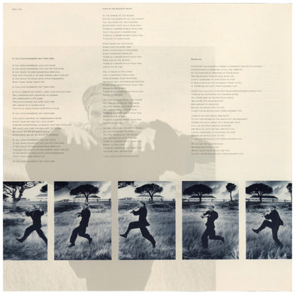 STING - THE DREAM OF THE BLUE TURTLES | VINILO USADO