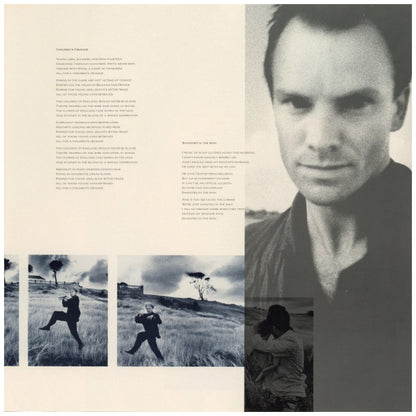 STING - THE DREAM OF THE BLUE TURTLES | VINILO USADO