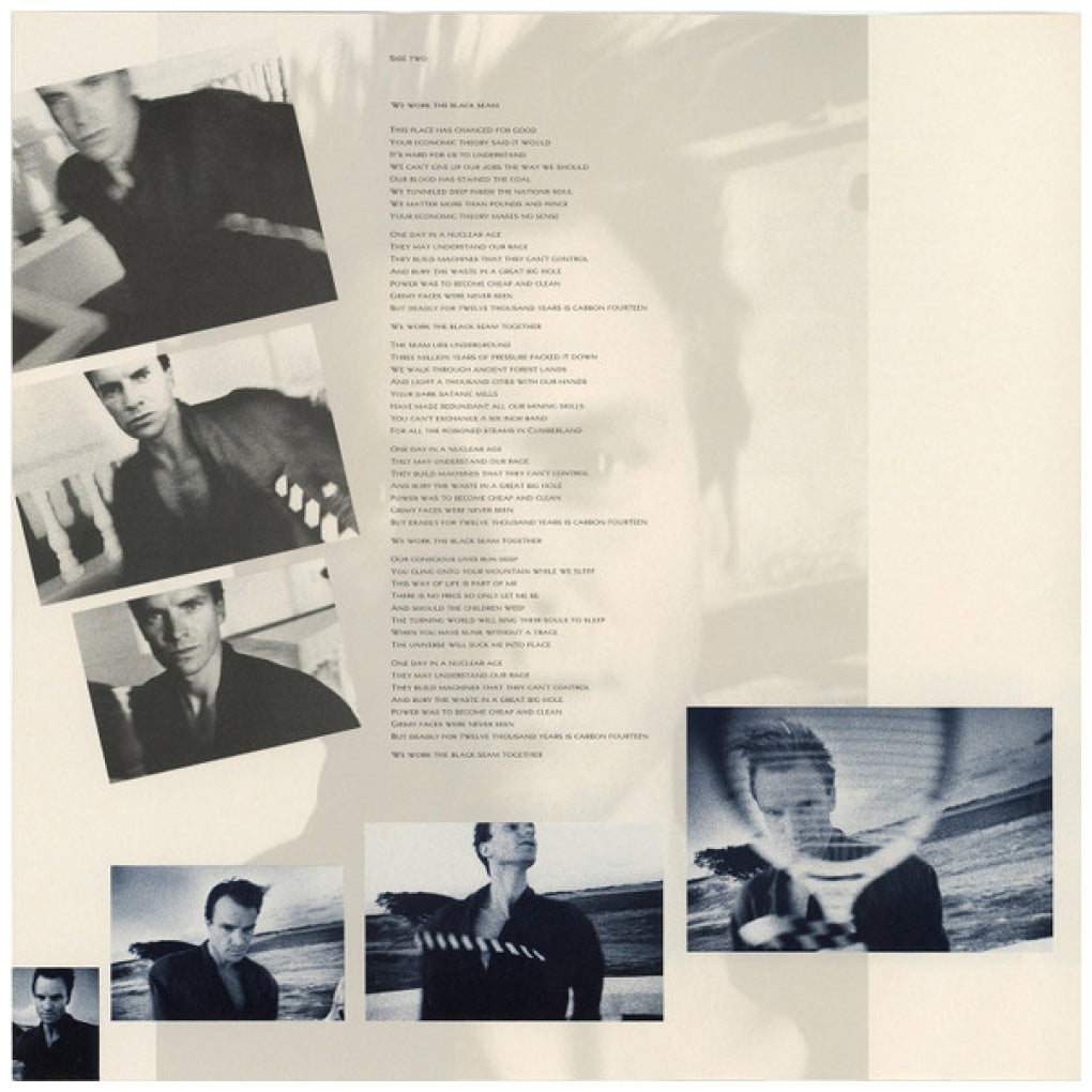 STING - THE DREAM OF THE BLUE TURTLES | VINILO USADO