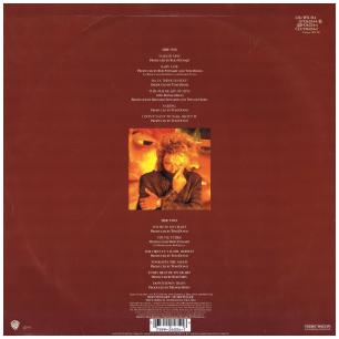 ROD STEWARD - THE BEST OF | VINILO USADO