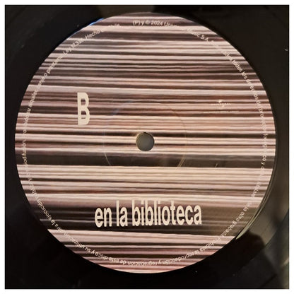 ELECTRODOMESTICOS  - EN LA BIBLIOTECA (GRANDES EXITOS) | VINILO