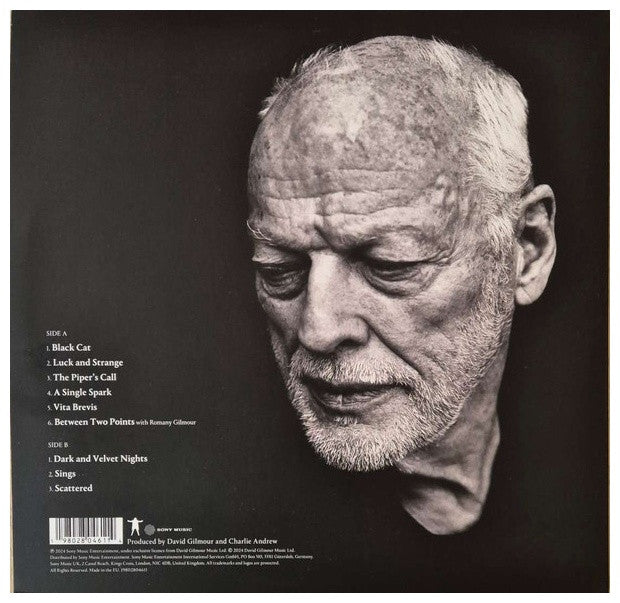 DAVID GILMOUR - LUCK AND STRANGE | VINILO