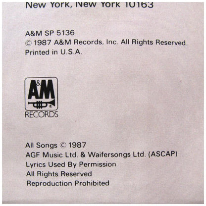 SUZANNE VEGA - SOLITUDE STANDING | VINILO USADO