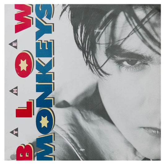 BLOW MONKEYS - IT DOESN T HAVE TO BE THIS WAY  | 12" MAXI SINGLE USADO
