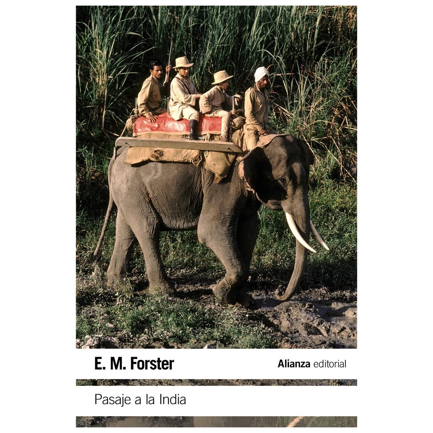 PASAJE A LA INDIA (TAPA BLANDA) - E. M. FORSTER | LIBRO