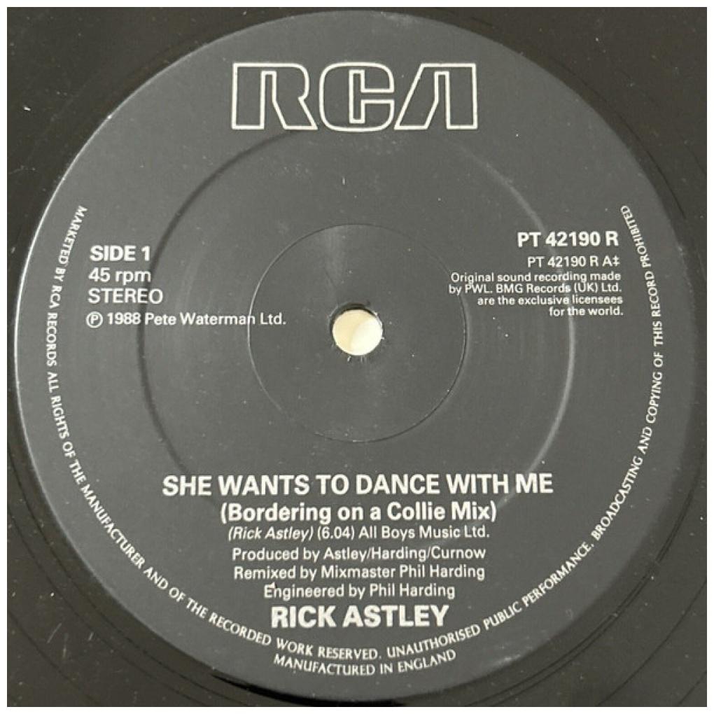 RICK ASTLEY - SHE WANTS TO DANCE WITH ME | 12" MAXI SINGLE VINILO USADO