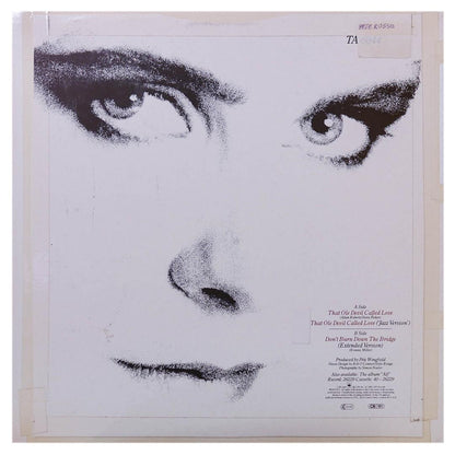 ALISON MOYET - THAT OLE DEVIL CALLED LOVE (LP VERSION + JAZZ VERSION) | 12 MAXI SINGLE USADO