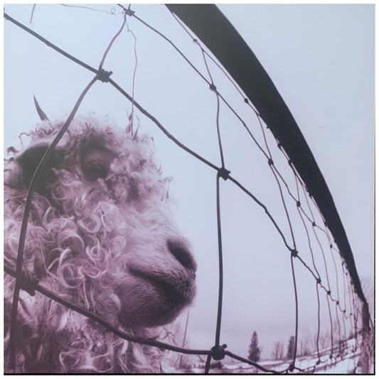 PEARL JAM - VS. (30TH ANNIVERSARY) | VINILO