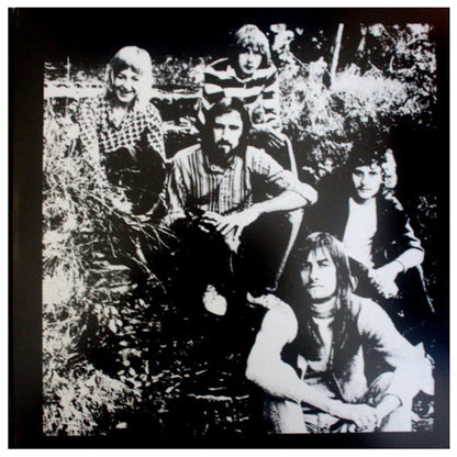 FLEETWOOD MC - FM GREATEST HITS | VINILO
