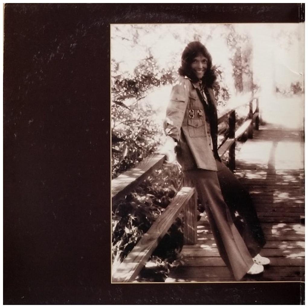 CARPENTERS - THE SINGLES 1969-1973 | VINILO USADO