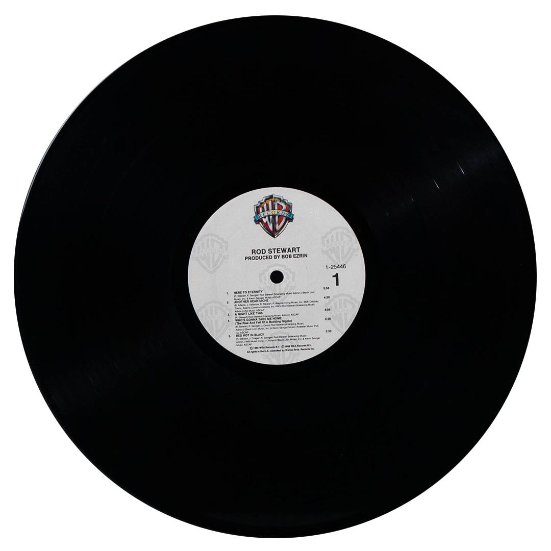 ROD STEWART - ROD STEWART | VINILO USADO