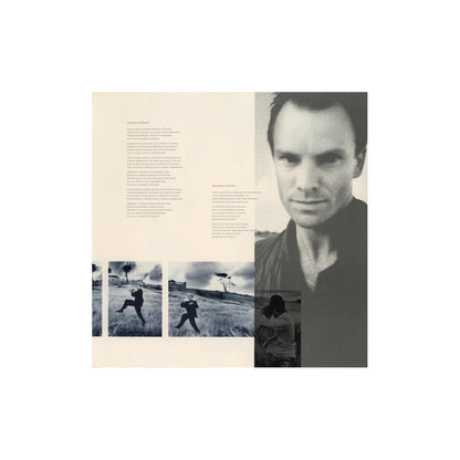 STING - THE DREAM OF THE BLUE TURTLES  | VINILO USADO