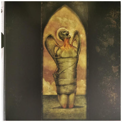 METALLICA  - ST. ANGER (2LP) | VINILO