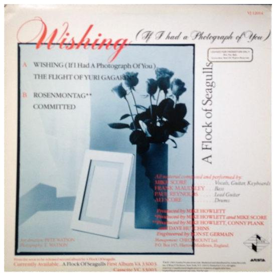 A FLOCK OF SEAGULLS  -  WISHING  | 12" MAXI SINGLE USADO