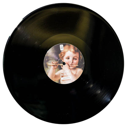 ROBERT MILES - FABLE (2LP) | 12" MAXI SINGLE USADO