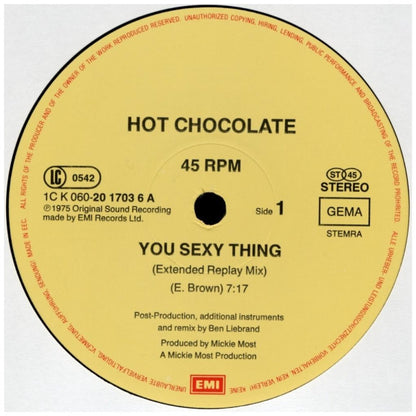 HOT CHOCOLATE - YOU SEXY THING (BEN LIEBRAND MIX) | 12" MAXI SINGLE VINILO USADO
