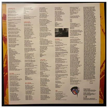 GUNS N  ROSES - USE YOUR ILLUSION I (2LP) | VINILO