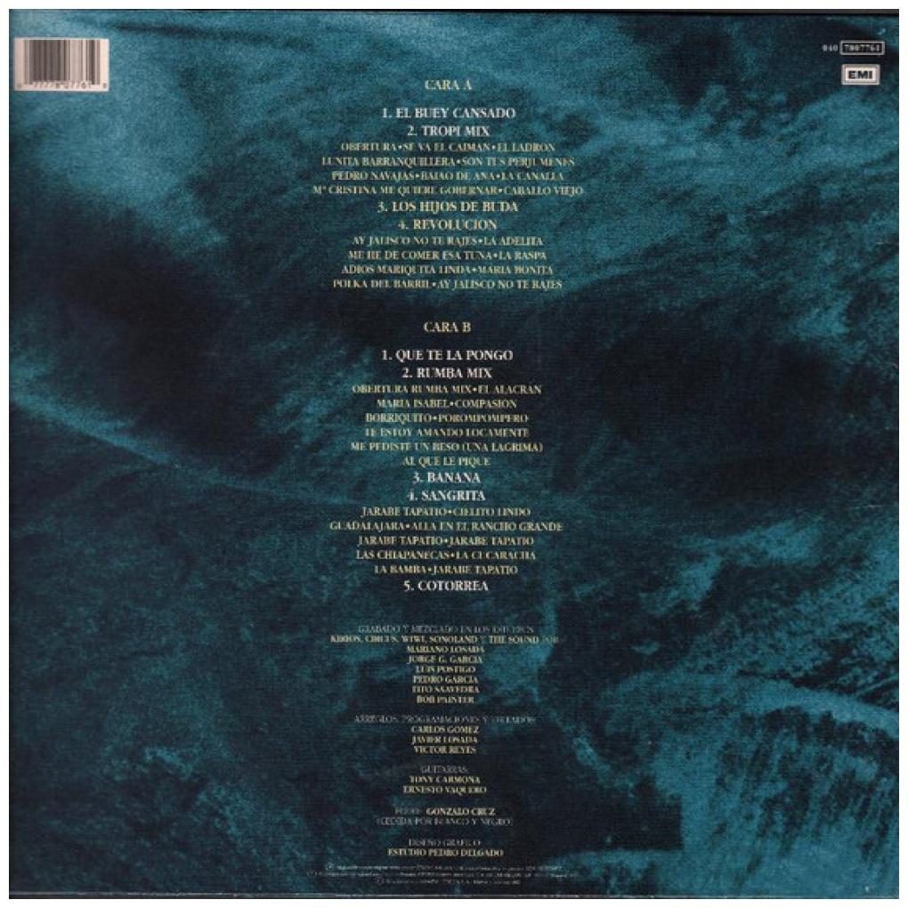 GARIBALDI - GRANDES EXITOS | VINILO USADO