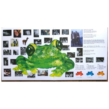 SILVERCHAIR - FROGSTOMP (CLEAR VINYL) (2LP) | VINILO